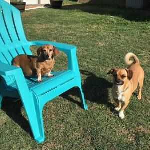 Meet your Posher, Roxanne